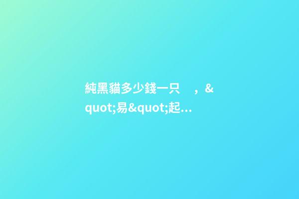 純黑貓多少錢一只，&quot;易&quot;起進店探底價-第1張-觀點-玄機派